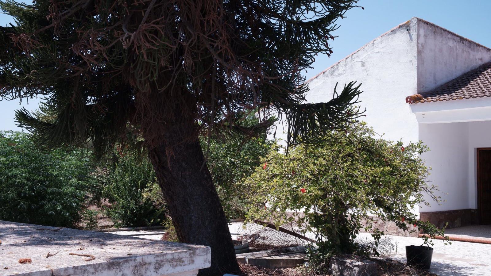 Casa Montaraz - Detalle 6