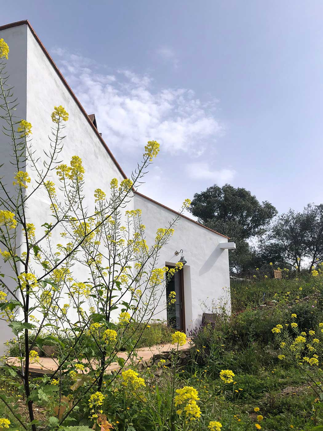 Piedra y Agua - Detalle 4