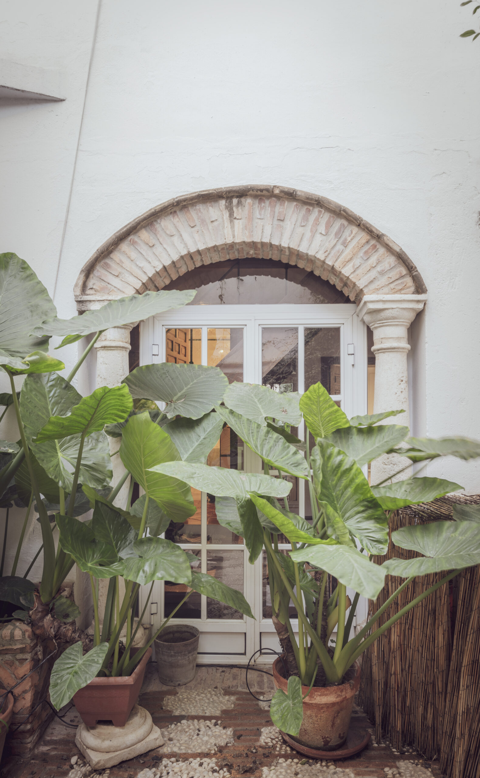 Rehabilitación de apartamento en Calle Sierpes - Detalle 4