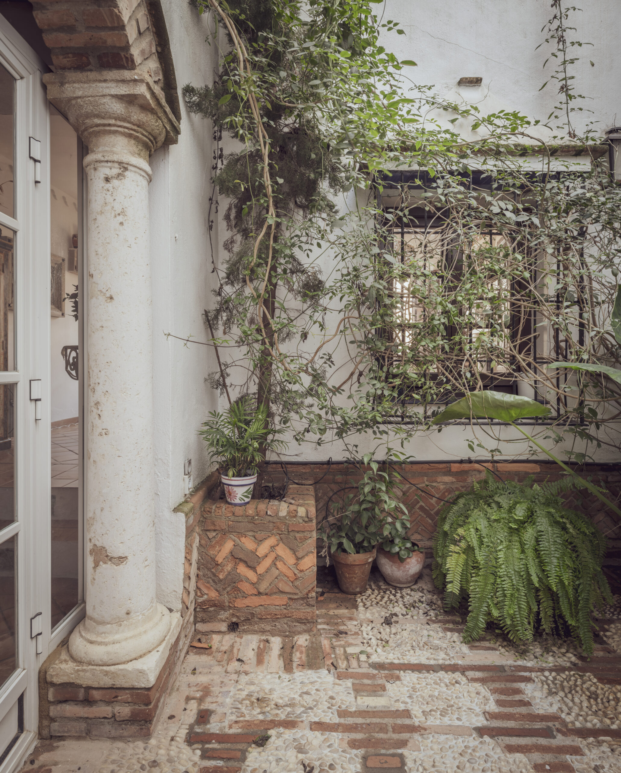 Rehabilitación de apartamento en Calle Sierpes - Detalle 5